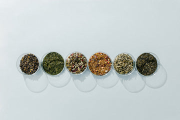 Best Teas for Anxiety