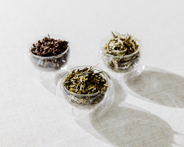 Tea Types: What Are You Drinking?