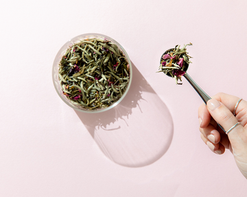 Everything You Need To Know About White Tea