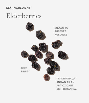 Elderberries ingredient close-up – Art of Tea