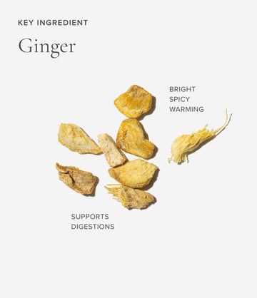 Ginger ingredient close-up – Art of Tea