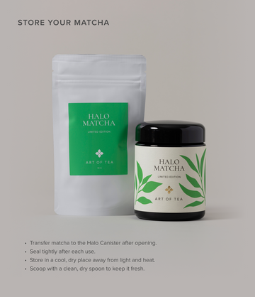 Halo Matcha Canister Bundle
