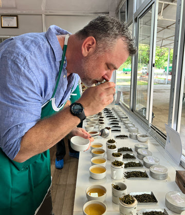 Darjeeling tea estate in India – Art of Tea
