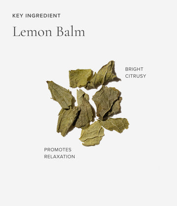 Lemon balm ingredient close-up – Art of Tea