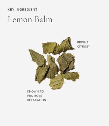 Lemon balm ingredient close-up – Art of Tea