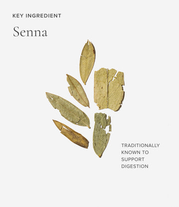 Senna ingredient close-up – Art of Tea