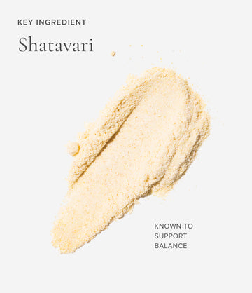 Shatavari ingredient close-up – Art of Tea