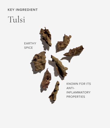 Clarity tea ingredient close-up – Art of Tea