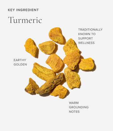 Turmeric ingredient close-up – Art of Tea